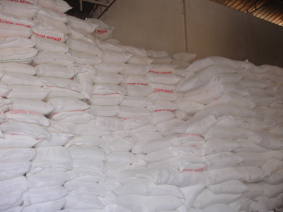 Native Tapioca/ Cassava Starch for Industry
